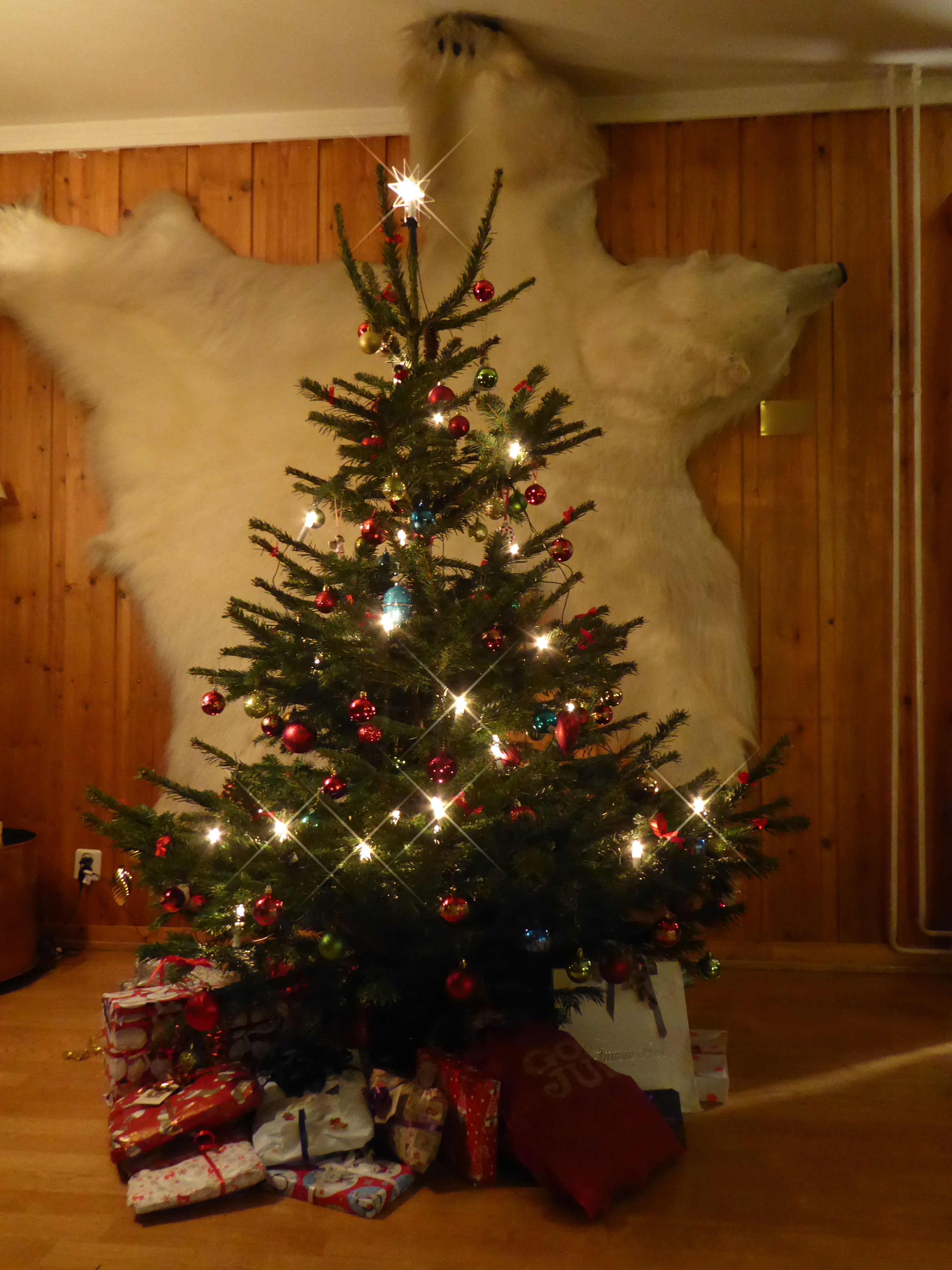 Bjørnøyens fineste jule tre